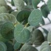 Miracliy Faux Eucalyptus Stems Artificial Eucalyptus Leaves Silk Silver Dollar Eucalyptus OliveBranches For Vases For Home Table Decor -Artificial Trees Store 51R79ypiiJL 1