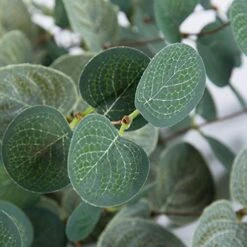 Miracliy 6 PCS Artificial Eucalyptus Leaves Greenery Stems Faux Silk Silver Dollar Eucalyptus Leaf Branches Green Bulk For Home Party Wedding Decoration -Artificial Trees Store 51R79ypiiJL