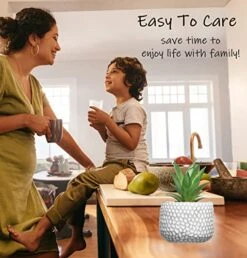 CADNLY Small Artificial Plants In Pots - Fake Plants For Bathroom Office Desk - Faux Succulents Plants Artificial Succulents Decor - Faux Plants Indoor Small Plants Shelf Decor Green Potted Plant -Artificial Trees Store 51REZAu2euL