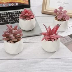 CASTNOO Set Of 4 Succulents Plants Artificial, Mini Fake Succulents For Women Office, Faux Succulents Decor, Artificial Succulents In Ceramic Pots For Desk, Home, Shelf Decorations -Artificial Trees Store 51RaZS9CYLL