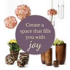 Serene Spaces Living Preserved Boxwood Oval Topiary In A Pot, Boxwood In Planters, Preserved Plant For Boxwood Table Decor, Boxwood Centerpiece, Measures 12.5" Tall, 7.5" Wide & 14" Long 8 Serene Spaces Living Preserved Boxwood Oval Topiary In A Pot, Boxwood In Planters, Preserved Plant For Boxwood Table Decor, Boxwood Centerpiece, Measures 12.5" Tall, 7.5" Wide & 14" Long -Artificial Trees Store 51Re2EVGk4L 1