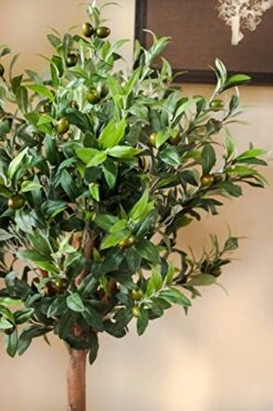 Nearly Natural 5960 4.5' Olive Topiary Tree With European Barrel Planter -Artificial Trees Store 51RnwHnphPL