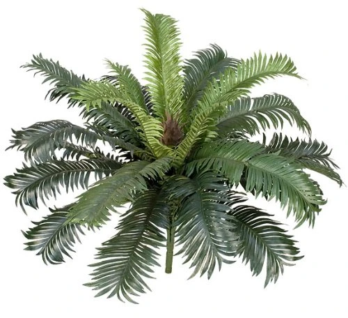Two 25" Cycas Palm Artificial Tree Silk Plants, With No Pot, (Pack Of 2) 4 Two 25" Cycas Palm Artificial Tree Silk Plants, With No Pot, (Pack Of 2) - Image 2