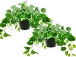 Tiita 2 Pack Fake Plants Artificial Scindapsus Aureus In Pots, Realistic Fake Greenery Potted Plants For Home Office Desk Window Sill Bathroom Bedroom Outdoor Indoor -Artificial Trees Store 51SNbmMHX6L. AC