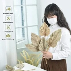 PYSAZI 12 Pcs Natural Dried Palm Leaves Boho Dried Palm Spears Leaves Bulk Small Dried Real Palm Fans Dry Palm Leaves With Stems Dried Leaf Boho Home Décor For Vase Wedding Office Home 43.5*12cm 10 PYSAZI 12 Pcs Natural Dried Palm Leaves Boho Dried Palm Spears Leaves Bulk Small Dried Real Palm Fans Dry Palm Leaves With Stems Dried Leaf Boho Home Décor For Vase Wedding Office Home 43.5*12cm -Artificial Trees Store 51SoJo1kwpL