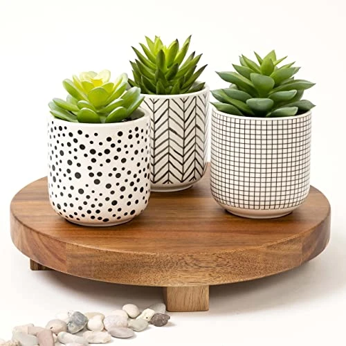 Kurrajong Farmhouse Artificial Succulents In Pots | Set Of 3 Black And White Ceramic Pots With Green Succulents Artificial | Faux Plants Indoor Fake Plants In Pots 4.75" High 4 Kurrajong Farmhouse Artificial Succulents In Pots | Set Of 3 Black And White Ceramic Pots With Green Succulents Artificial | Faux Plants Indoor Fake Plants In Pots 4.75" High - Image 2