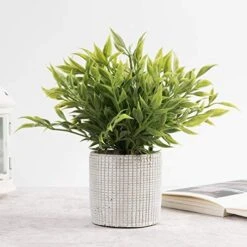 Cyrra Small Size Bathroom Living Room Laundry Room Guest Room Shop Table Shelf Decor Ideas Indoor Green Artificial Grass Shrub Plants 8 (High) X 4 (Pot Diameter Inch (Nandina S) 10 Cyrra Small Size Bathroom Living Room Laundry Room Guest Room Shop Table Shelf Decor Ideas Indoor Green Artificial Grass Shrub Plants 8 (High) X 4 (Pot Diameter Inch (Nandina S) -Artificial Trees Store 51SppZZBVxL