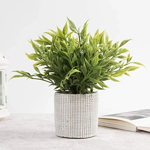 Cyrra Small Size Bathroom Living Room Laundry Room Guest Room Shop Table Shelf Decor Ideas Indoor Green Artificial Grass Shrub Plants 8 (High) X 4 (Pot Diameter Inch (Nandina S) 5 Cyrra Small Size Bathroom Living Room Laundry Room Guest Room Shop Table Shelf Decor Ideas Indoor Green Artificial Grass Shrub Plants 8 (High) X 4 (Pot Diameter Inch (Nandina S) - Image 3