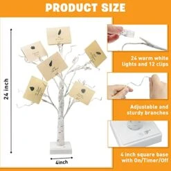 EAMBRITE Money Tree Gift Holder, Lighted Birch Tree 2FT 24LED, Battery/USB Powered Timer Light Up Display Twig Gift Card Tree With 12 Clear Clips And 6 Cards For Home Christmas Fathers Day Photo Memo