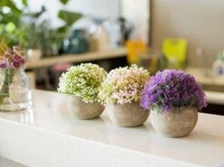 Opps Mini Artificial Plants Plastic Fake Green Colorful Flower Topiary Shrubs With Gray Pot For Home Décor – Set Of 3 -Artificial Trees Store 51T7dN3evzL