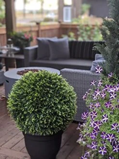 365 Curb Appeal - 23" XL Cedar (Cypress) Topiary Ball | Artificial Mum Spheres | Garden Spheres | Outdoor Topiary Ball | Decorative Topiary Balls For Wedding | Green Topiary Balls Decor | UV Protected -Artificial Trees Store 51TDslQe0bL