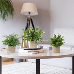 Briful Artificial Potted Plants Set Of 3 Small Faux Plant Eucalyptus Mini Fake Plant Decor For Home Table Office Room Desk Bathroom Shelf Kitchen Rustic Farmhouse Mantel Decoration 16 Briful Artificial Potted Plants Set Of 3 Small Faux Plant Eucalyptus Mini Fake Plant Decor For Home Table Office Room Desk Bathroom Shelf Kitchen Rustic Farmhouse Mantel Decoration -Artificial Trees Store 51TUixT1WGS