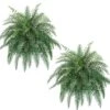 40" Artificial River Fern Hanging Plant Boston Bush Tree Arrangement, With No Pot, (Pack Of 2) 1 40" Artificial River Fern Hanging Plant Boston Bush Tree Arrangement, With No Pot, (Pack Of 2) -Artificial Trees Store 51TiF70SUOL