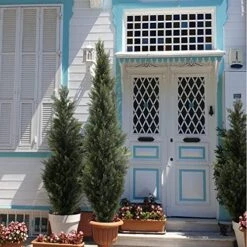 LUWENER Two 4FT Artificial Cedar Topiary Trees,Fake Topiary Outdoor Plants In Pot, UV Rated Plant For The Front Door,Christmas Decor,Garden Decor -Artificial Trees Store 51Trn9fBx2L