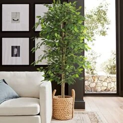 NeuType Artificial Ficus Tree 6FT, 2Packs Fake Ficus Tree Plant With Warm White LED String Lights, Tall Fake Plant Potted Faux Tree Indoor Home Office Decor Floor Plants For Living Room (71 In) 14 NeuType Artificial Ficus Tree 6FT, 2Packs Fake Ficus Tree Plant With Warm White LED String Lights, Tall Fake Plant Potted Faux Tree Indoor Home Office Decor Floor Plants For Living Room (71 In) -Artificial Trees Store 51TttvOkncL