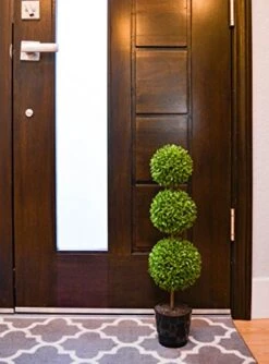 Admired By Nature Tabletop English Artificial Boxwood, Green (GTR7680-GREEN-2)