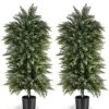 YEMMEN 2 Pack 3.5ft Artificial Cedar Topiary Trees, Outdoor Artificial Plants For Front Porch Décor, Artificial Shrubs Fake Plants Uv Rated Potted Plants For Outdoor, Indoor, Front Door, Office. 2 YEMMEN 2 Pack 3.5ft Artificial Cedar Topiary Trees, Outdoor Artificial Plants For Front Porch Décor, Artificial Shrubs Fake Plants Uv Rated Potted Plants For Outdoor, Indoor, Front Door, Office. -Artificial Trees Store 51U1GHRbF6L