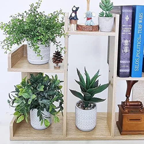 Set Of 3 Assorted Small Potted Plants Fake Eucalyptus Boxwood Plants And Aloe Succulent Plant In Gray Geometric Concrete Ceramic Pots For Gifts Home Kitchen Table Desk Indoor Outdoor Greenery Decor 4 Set Of 3 Assorted Small Potted Plants Fake Eucalyptus Boxwood Plants And Aloe Succulent Plant In Gray Geometric Concrete Ceramic Pots For Gifts Home Kitchen Table Desk Indoor Outdoor Greenery Decor - Image 2