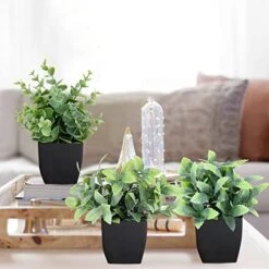 LELEE 8pcs Artificial Potted Plants Mini Fake Potted Plants, Small Eucalyptus Potted Faux Decorative Grass Plant With Black Pot For Home Decor, Indoor, Office, Desk, Table, Shelf Decoration 13 LELEE 8pcs Artificial Potted Plants Mini Fake Potted Plants, Small Eucalyptus Potted Faux Decorative Grass Plant With Black Pot For Home Decor, Indoor, Office, Desk, Table, Shelf Decoration -Artificial Trees Store 51URT4XSTyL