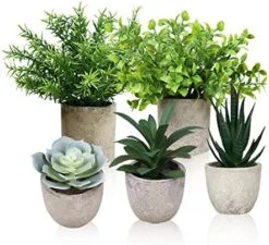 Memeaty Set Of 5 Small Fake Plants Artificial Rosemary Peppermint Plants Fake Succulents Plants In Pot For Home Office Decoration,Artficial Greenery Faux Plants Indoor For Table Shelf Decor 13 Memeaty Set Of 5 Small Fake Plants Artificial Rosemary Peppermint Plants Fake Succulents Plants In Pot For Home Office Decoration,Artficial Greenery Faux Plants Indoor For Table Shelf Decor -Artificial Trees Store 51US0aGHgsL. AC