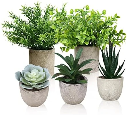 Memeaty Set Of 5 Small Fake Plants Artificial Rosemary Peppermint Plants Fake Succulents Plants In Pot For Home Office Decoration,Artficial Greenery Faux Plants Indoor For Table Shelf Decor 8 Memeaty Set Of 5 Small Fake Plants Artificial Rosemary Peppermint Plants Fake Succulents Plants In Pot For Home Office Decoration,Artficial Greenery Faux Plants Indoor For Table Shelf Decor - Image 6