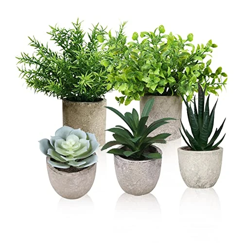 Memeaty Set Of 5 Small Fake Plants Artificial Rosemary Peppermint Plants Fake Succulents Plants In Pot For Home Office Decoration,Artficial Greenery Faux Plants Indoor For Table Shelf Decor 3 Memeaty Set Of 5 Small Fake Plants Artificial Rosemary Peppermint Plants Fake Succulents Plants In Pot For Home Office Decoration,Artficial Greenery Faux Plants Indoor For Table Shelf Decor