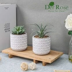 Der Rose 2 Packs Fake Plants Artificial Succulents Plants In Pots For Home Boho Decor Indoor 10 Der Rose 2 Packs Fake Plants Artificial Succulents Plants In Pots For Home Boho Decor Indoor -Artificial Trees Store 51UT5nPmvsL