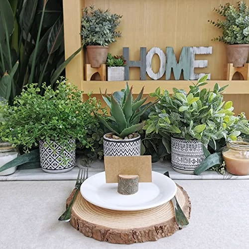 Set Of 3 Assorted Small Potted Plants Fake Eucalyptus Boxwood Plants Aloe Succulent Plant In Black And White Geometric Pots For Table Centerpiece Windowsill Shelf Indoor Outdoor Garden Greenery Decor 4 Set Of 3 Assorted Small Potted Plants Fake Eucalyptus Boxwood Plants Aloe Succulent Plant In Black And White Geometric Pots For Table Centerpiece Windowsill Shelf Indoor Outdoor Garden Greenery Decor - Image 2