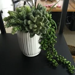 YABINA 6 Capensia Bush, Artificial Plant (B)