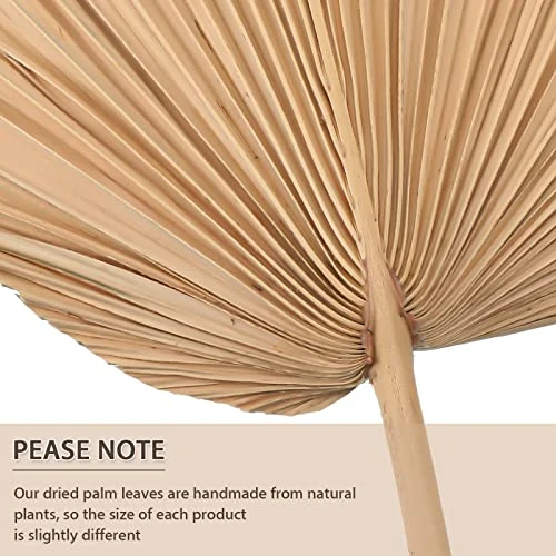 Nuanchu Natural Dried Palm Leaves Boho Palm Leaves Decor Heart Round Shape Palm Fans Tropical Palm Leaves Decoration Dried Palm Leaves Decor For Holidays Weddings Party Kitchen (Heart Shape, 9) 5 Nuanchu Natural Dried Palm Leaves Boho Palm Leaves Decor Heart Round Shape Palm Fans Tropical Palm Leaves Decoration Dried Palm Leaves Decor For Holidays Weddings Party Kitchen (Heart Shape, 9) - Image 3