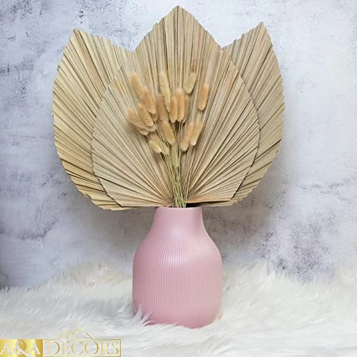GENERIC Dried Palm Leaves - 3 Pcs Stunning Dried Palm Leaf And 15Pcs Bunny Tails Dried Flowers | Gorgeously Thick Dried Palm Leaves Decor And Bunny Tail For Wedding, Home And Boho Decor | 18 Inch 6 GENERIC Dried Palm Leaves - 3 Pcs Stunning Dried Palm Leaf And 15Pcs Bunny Tails Dried Flowers | Gorgeously Thick Dried Palm Leaves Decor And Bunny Tail For Wedding, Home And Boho Decor | 18 Inch - Image 4