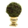 Nearly Natural 1 Mohlenbechia Ball Topiary In Gold Urn, 16 -Artificial Trees Store 51V4ZX7MgtL