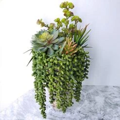 Supla 4 Pcs Artificial Hanging Succulents Faux Burro's Tail Picks Trailing String Of Pearls Succulent Greenery Sprays 13.4" L For Basket Planter Centerpiece Floral Arrangement Indoor Outdoor Decor -Artificial Trees Store 51V5GQzneSL