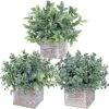 Winlyn Set Of 3 Small Potted Plants Artificial Eucalyptus In Wood Box Faux Eucalyptus In Pots Desk Plants Greenery Centerpiece Table Decorations For Farmhouse Kitchen Windowsill Shelf Entryway Decor 1 Winlyn Set Of 3 Small Potted Plants Artificial Eucalyptus In Wood Box Faux Eucalyptus In Pots Desk Plants Greenery Centerpiece Table Decorations For Farmhouse Kitchen Windowsill Shelf Entryway Decor -Artificial Trees Store 51V6xvipqiL