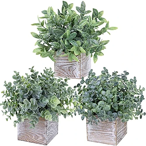 Winlyn Set Of 3 Small Potted Plants Artificial Eucalyptus In Wood Box Faux Eucalyptus In Pots Desk Plants Greenery Centerpiece Table Decorations For Farmhouse Kitchen Windowsill Shelf Entryway Decor 3 Winlyn Set Of 3 Small Potted Plants Artificial Eucalyptus In Wood Box Faux Eucalyptus In Pots Desk Plants Greenery Centerpiece Table Decorations For Farmhouse Kitchen Windowsill Shelf Entryway Decor