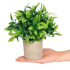 CEWOR Artificial Potted Plants, Mini Fake Plant Greenery Decoration For Barhroom Shelf Home Office Desk Table Indoor Decor, 4 Pack 12 CEWOR Artificial Potted Plants, Mini Fake Plant Greenery Decoration For Barhroom Shelf Home Office Desk Table Indoor Decor, 4 Pack -Artificial Trees Store 51VBLfpXPdL