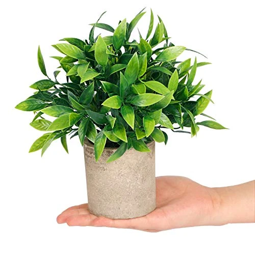 CEWOR Artificial Potted Plants, Mini Fake Plant Greenery Decoration For Barhroom Shelf Home Office Desk Table Indoor Decor, 4 Pack 6 CEWOR Artificial Potted Plants, Mini Fake Plant Greenery Decoration For Barhroom Shelf Home Office Desk Table Indoor Decor, 4 Pack - Image 4