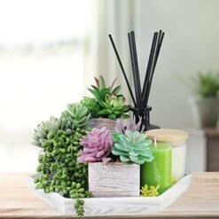 Set Of 3 Assorted Small Potted Succulents Plants Decoration Assorted Green Fake Succulents Plants In Rustic Wooden Pots For Home Living Room Bathroom Table Shelf Windowsill Office Desk Indoor Decor -Artificial Trees Store 51VEWImllyL