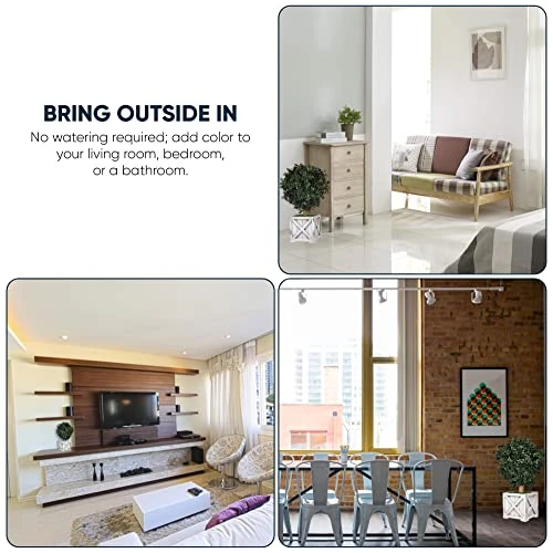 Tin Roof Interiors 24" Tall Artificial Boxwood Shrubs (2), Includes Galvanized Metal Pot, Outdoor Ready, Natural Looking Fake Potted Shrubs 7 Tin Roof Interiors 24" Tall Artificial Boxwood Shrubs (2), Includes Galvanized Metal Pot, Outdoor Ready, Natural Looking Fake Potted Shrubs - Image 5