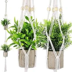 Supecaty 2 Pack Artificial Hanging Plants With Plant Hangers, Fake Hanging Plants Small Potted Green Grass Eucalyptus Faux Topiary Shrubs For Home Office Bathroom Living Room Bedroom Aesthetic Decor -Artificial Trees Store 51WGDvan6iL. AC
