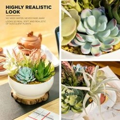 10 In 1- Fake Plants In Pot -Artificial Succulents Plant For Desk Decor -Small Faux Plants Indoor Modern Farmhouse Plants Artificial Decor -Potted Small Plants Decor For Bedroom Bathroom Office Shelf -Artificial Trees Store 51WSeUnN0UL