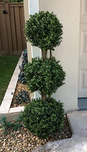 Silk Tree Warehouse Two 66 Inch Artificial Boxwood Triple Ball Topiary Trees Potted UV Rated 5 And A Half Foot Tall 4 Silk Tree Warehouse Two 66 Inch Artificial Boxwood Triple Ball Topiary Trees Potted UV Rated 5 And A Half Foot Tall - Image 2