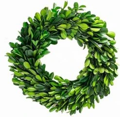 BoxwoodValley Preserved Boxwood Wreath 16 Inch Year Round Green Wreath For Halloween, Christmas Wreath Decor Green Garland For Indoor Green Autumn Wreath Decor (16 Inch) -Artificial Trees Store 51WXSE2NhHL. AC