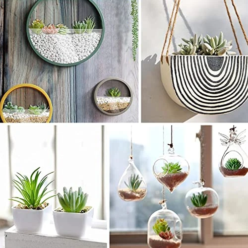 Happyhapi 12 Pcs Artificial Succulents Mini Fake Plants Unpotted Faux Succulent For Craft, Small Plastic Succulents Assortment In Flocked Green Floral Decor For Party, Cake, Garden & Outdoor 3 Happyhapi 12 Pcs Artificial Succulents Mini Fake Plants Unpotted Faux Succulent For Craft, Small Plastic Succulents Assortment In Flocked Green Floral Decor For Party, Cake, Garden & Outdoor