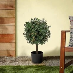 National Tree Company Pre Lit Artificial Potted Shrub, Green, Boxwood Single Ball Topiary, Includes Black Pot Base, Plug In, Spring Collection, 2 Feet 6 National Tree Company Pre Lit Artificial Potted Shrub, Green, Boxwood Single Ball Topiary, Includes Black Pot Base, Plug In, Spring Collection, 2 Feet -Artificial Trees Store 51WmdAGlCjL