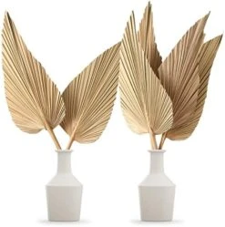 Nuanchu Natural Dried Palm Leaves Boho Palm Leaves Decor Heart Round Shape Palm Fans Tropical Palm Leaves Decoration Dried Palm Leaves Decor For Holidays Weddings Party Kitchen (Heart Shape, 9) 17 Nuanchu Natural Dried Palm Leaves Boho Palm Leaves Decor Heart Round Shape Palm Fans Tropical Palm Leaves Decoration Dried Palm Leaves Decor For Holidays Weddings Party Kitchen (Heart Shape, 9) -Artificial Trees Store 51X2ZyNZdZL. AC