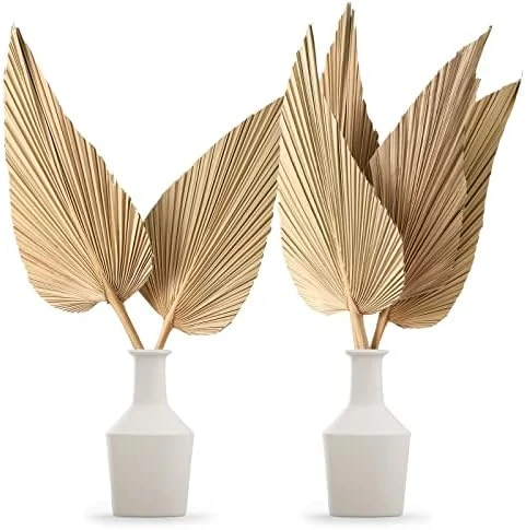 Nuanchu Natural Dried Palm Leaves Boho Palm Leaves Decor Heart Round Shape Palm Fans Tropical Palm Leaves Decoration Dried Palm Leaves Decor For Holidays Weddings Party Kitchen (Heart Shape, 9) 7 Nuanchu Natural Dried Palm Leaves Boho Palm Leaves Decor Heart Round Shape Palm Fans Tropical Palm Leaves Decoration Dried Palm Leaves Decor For Holidays Weddings Party Kitchen (Heart Shape, 9) - Image 5
