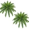 Two 40" Spread Artificial Boston Fern 48 Leaves Silk Hanging Bush Tree Plant 2 Two 40" Spread Artificial Boston Fern 48 Leaves Silk Hanging Bush Tree Plant -Artificial Trees Store 51XCQZEcduL
