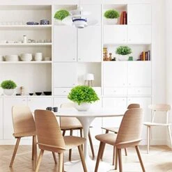 Summer Flower 5 Pack Mini Artificial Plants In Ceramics Pots For Bathroom Home Decor Indoor, 2 Fake Mini Plant Green Boxwood Potted,3 Grass Faux Plant In White Pot For Bookshelf Farmhouse Decorations -Artificial Trees Store 51XYoR4lzML