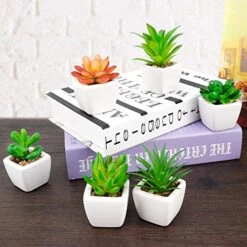 Faux Succulents In Pots Fake Succulents Small Artificial Succulents Potted For Home Office Desk Farmhouse Greenery Decor, 12 Pack 11 Faux Succulents In Pots Fake Succulents Small Artificial Succulents Potted For Home Office Desk Farmhouse Greenery Decor, 12 Pack -Artificial Trees Store 51XczI2dpgL